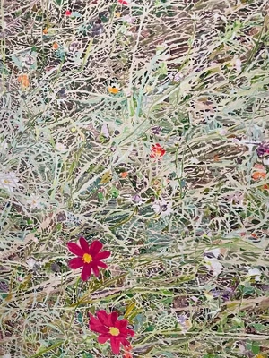 晴れだ〜〜〜☀️