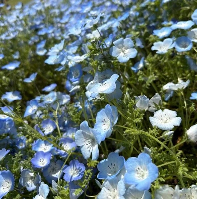 ありがとうございました‎🤍