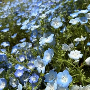 ありがとうございました‎🤍