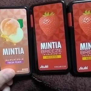 お店いるよ〜！