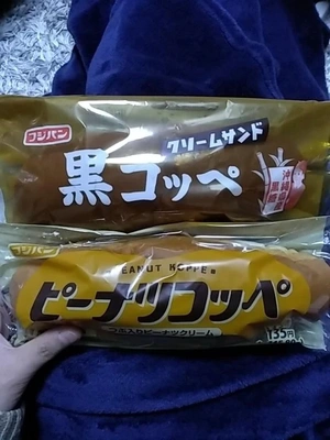 おはようございます٩(*´꒳`*)۶