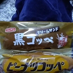 おはようございます٩(*´꒳`*)۶