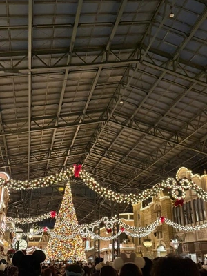 クリスマスディズニー🎄✨