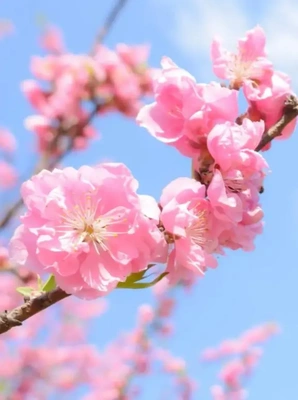 あなたに微笑む