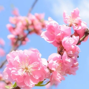 あなたに微笑む