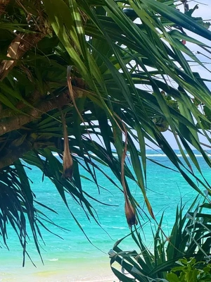 Ｘが終わったかも？?