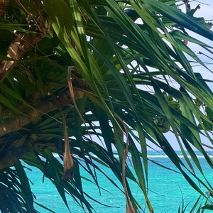 Ｘが終わったかも？?