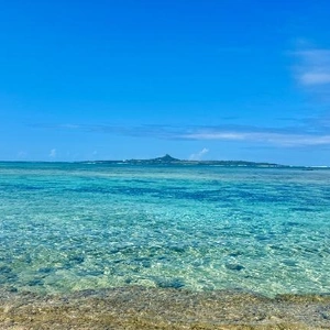 11月28日(金)おやすみいただきます。