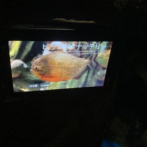 ??本日貸切?