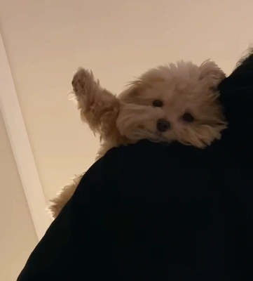 ?   キャンセル出ました
