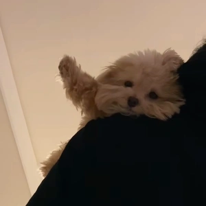 ?   キャンセル出ました