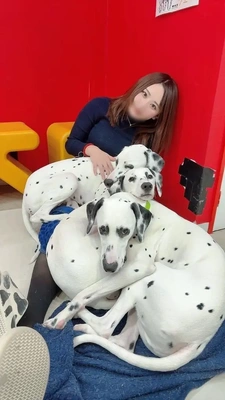 わんちゃんまみれ