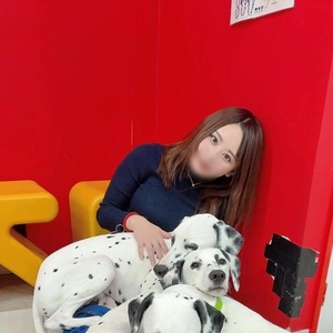 わんちゃんまみれ