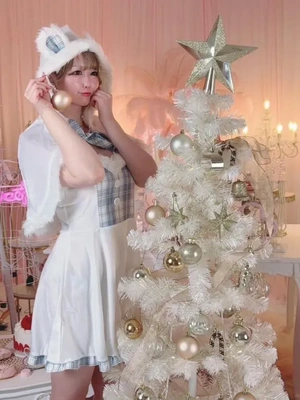 大人になったサンタさん