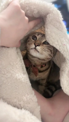 ごめんなさい、?