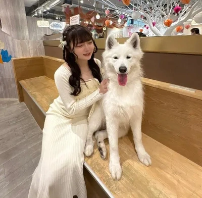 ねぇ、キマった？