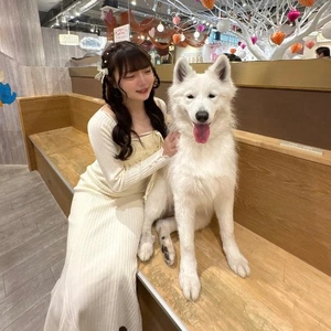 ねぇ、キマった？