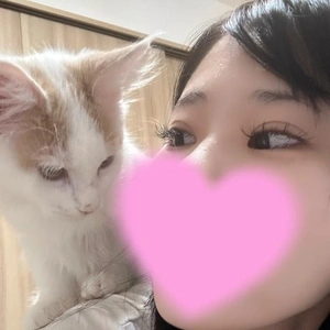 明日で一区切り(  )