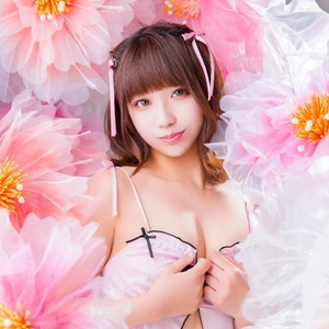  ４月姫予約特典のご案内 