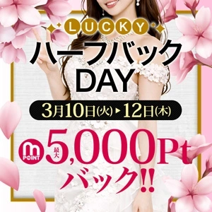 ポイントハーフバックDAY