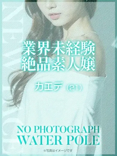 カエデ
