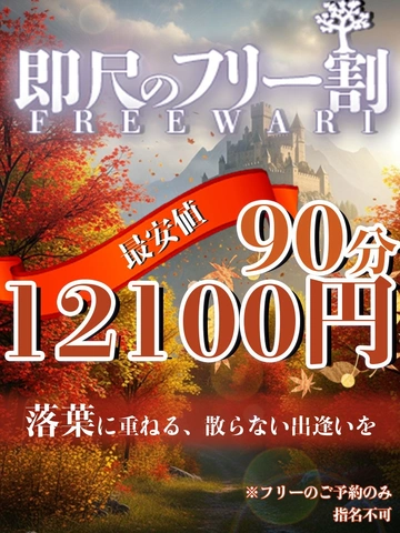 即尺フリー超割引90分12,100円(税込)