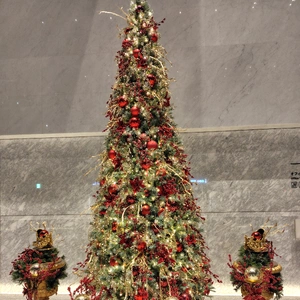 もうすぐクリスマス