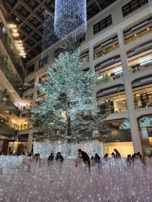 さ、寒いですね