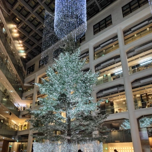 さ、寒いですね