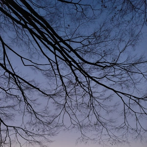 陽がのびましたね