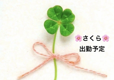 今後の予定です