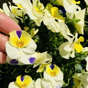 年内にお会い出来て