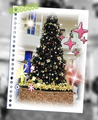 出勤致しました