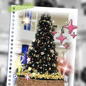 出勤致しました