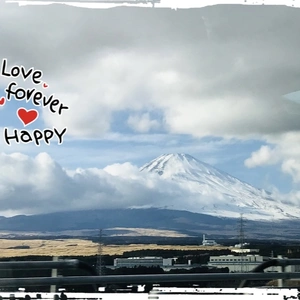 本年も宜しくお願いいたします