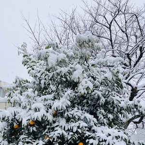 セラピスト冥利に尽きます