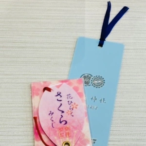 毎回、お決まりの