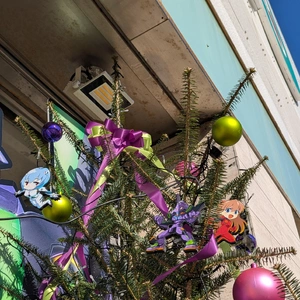 こんばんは(*^^*)