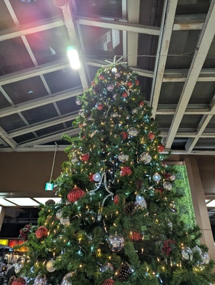 こんばんは(^O^)