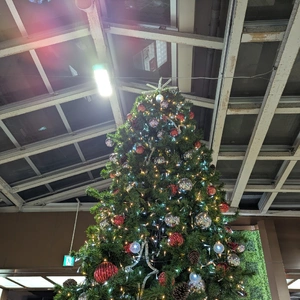 こんばんは(^O^)