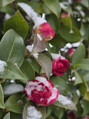 こんばんは(*´∀｀*)