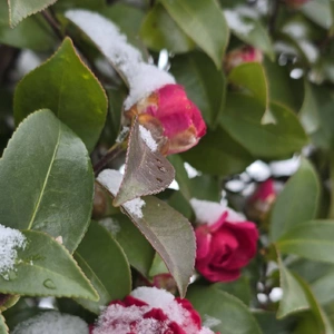 こんばんは(*´∀｀*)