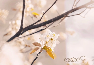 おはようございます。