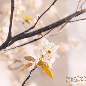 おはようございます。