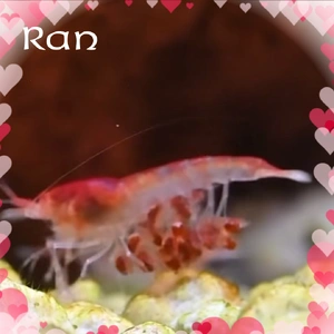 赤ちゃん産まれたよ