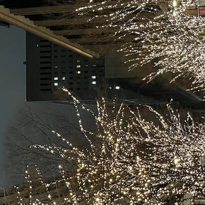 本年も大変お世話になりました♀