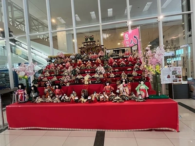 夜分に失礼します♀