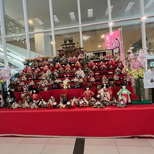 夜分に失礼します♀