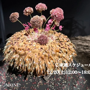 今週のお礼来週スケジュール