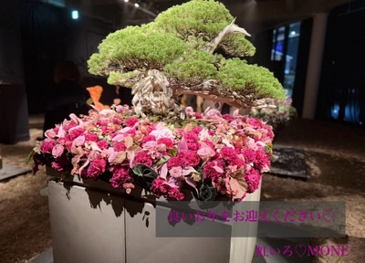 2025年ありがとうございました